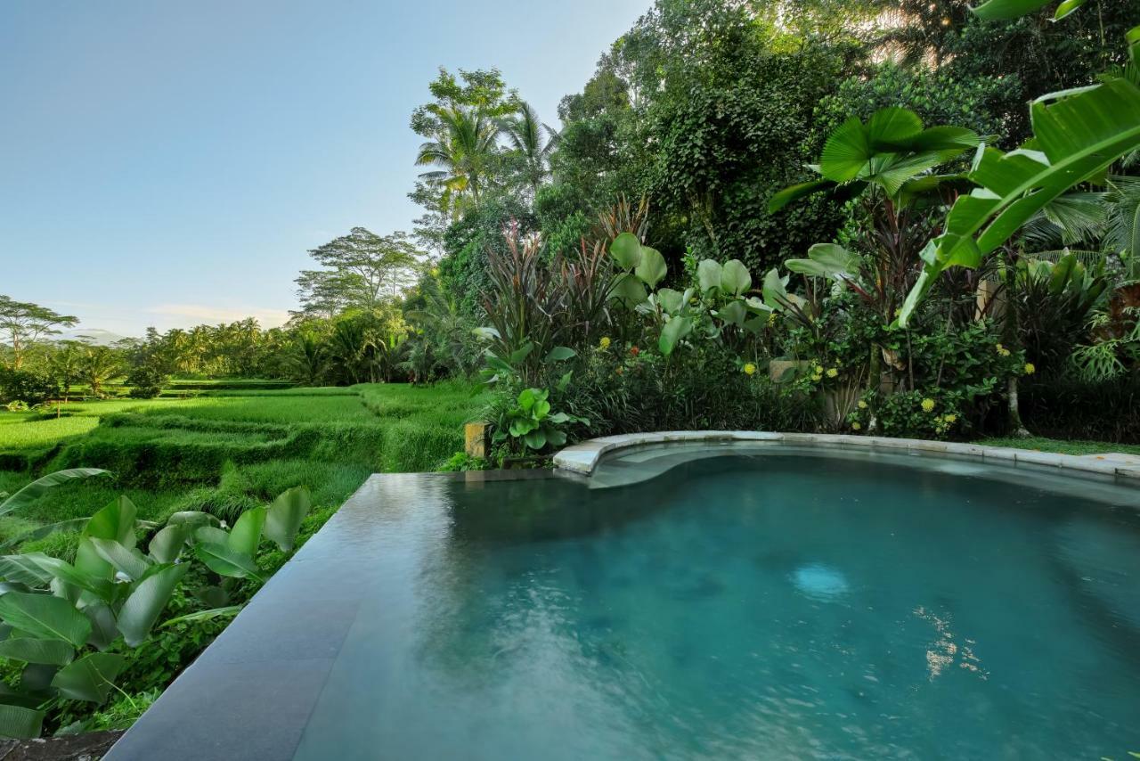Villa Kembang Bali Ubud Extérieur photo